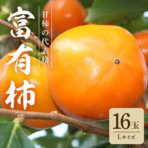yӂ邳Ɣ[Łz y2025N@s\z xL` L 16ʁi~i~όʎj` Â`  xLJL Â ʕ t[c  JL xL H { Ê` x p i Mtg 蕨