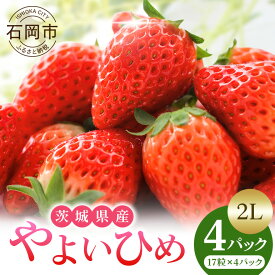 【ふるさと納税】【2026年先行予約】 やよいひめ 2L いちご イチゴ 苺 17粒 4パック 1kg 以上 国産 果物 フルーツ くだもの 1月 2月 3月 発送 冬 旬 産地直送 農家直送 産直 甘い デザート スイーツ 家庭用 贈答 贈答用 茨城 茨城県 石岡市 (A13-006)