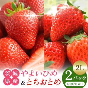 �y�ӂ邳�Ɣ[�Łz ��悢�Ђ߁��Ƃ����ƂߐH�ה�׃Z�b�g2L ������ � �C�`�S �t���[�c �ʕ� �������� ��錧 �Ή��s A13-007