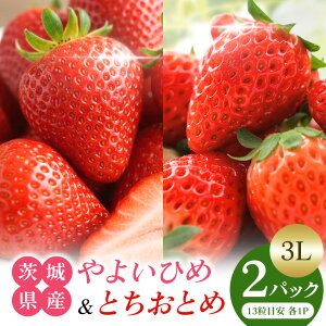 �y�ӂ邳�Ɣ[�Łz ��悢�Ђ߁��Ƃ����ƂߐH�ה�׃Z�b�g3L ������ � �C�`�S �t���[�c �ʕ� �������� ��錧 �Ή��s A13-008