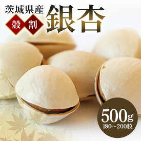 【ふるさと納税】 つくば 銀杏 ( ぎんなん ) 殻割 冷凍 500g 農薬不使用 無着色 贈答品 ギフト 高級 旬 食材 食品 国産 冷凍保存 産地直送 送料無料 (A24-001)