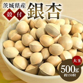 【ふるさと納税】 つくば 銀杏 ( ぎんなん ) 大玉 銀杏 殻付 冷凍 500g 農薬不使用 無着色 贈答品 ギフト 高級 旬 食材 食品 国産 冷凍保存 産地直送 送料無料 (A24-003)