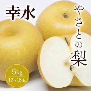 yӂ邳Ɣ[Łzy 2026N s\ z }gR[₳Ƃ̗ ( K ) 5kg ( 12 ` 18 )  Ȃ iV ʕ t[c i K 2L L TCY 5L Yn _ƒ Y Y  Â 