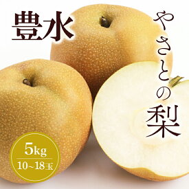 【ふるさと納税】【 2026年 先行予約 】 筑波山麓やさとの梨 ( 豊水 ) 5kg ( 10玉 ～ 18玉 ) 梨 なし ナシ 果物 フルーツ 品種 豊水梨 3L 2L L サイズ 5キロ 産地直送 農家直送 産直 国産 くだもの 甘い 酸味 ギフト 贈答用 家庭用 茨城県産 茨城県 石岡市 (A25-003)
