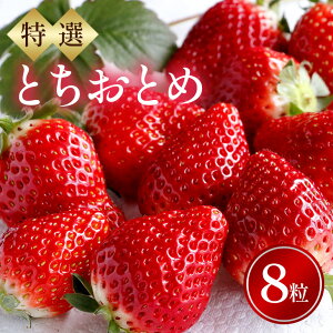【ふるさと納税】特選8玉 とちおとめ いちご イチゴ フルーツ 果物 茨城県 石岡市 A32-014