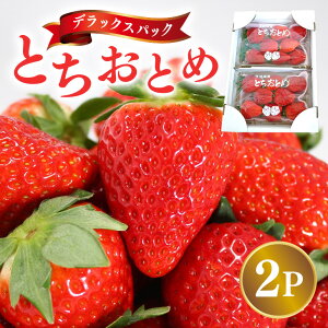 yӂ邳Ɣ[Łzy2026Ns\zfbNXpbN ƂƂ 2p  C`S  ʕ t[c  錧 Ήs A32-020