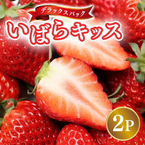 yӂ邳Ɣ[Łzy2026Ns\zfbNXpbN ΂LbX 2p  C`S  ʕ t[c  錧 Ήs A32-021