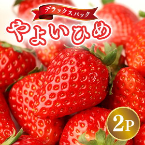 yӂ邳Ɣ[Łzy2026Ns\zfbNXpbN 悢Ђ 2p  C`S  ʕ t[c  錧 Ήs A32-022