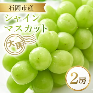yӂ邳Ɣ[Łzy2025N s\zVC}XJbg [ 2[ 嗱 炲ƐHׂ  Ԃǂ ʕ O[v p ƒp t[cMtg XC[cp  \ Yn