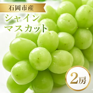 yӂ邳Ɣ[Łz VC}XJbg 2[ }XJbg Ԃǂ uhE t[c ʕ  錧 Ήs A38-002