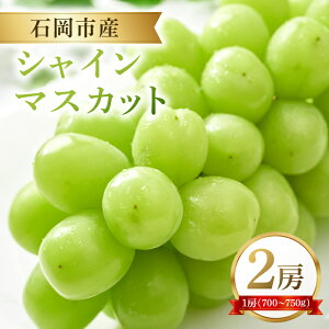 yӂ邳Ɣ[Łzy2026Ns\zΉsY VC}XJbg 700`750g 2[ ʕ t[c  錧 Ήs A38-003