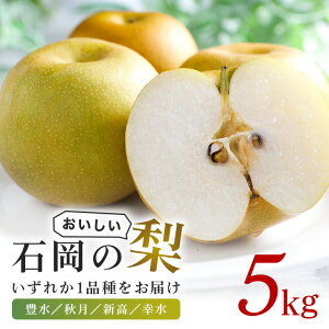 yӂ邳Ɣ[ŁzΉ̂5kg A39-002
