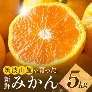 【ふるさと納税】筑波山麓で育った新鮮ミカン5kg みかん ミカン フルーツ 果物 くだもの 茨城県 石岡市 A42-001