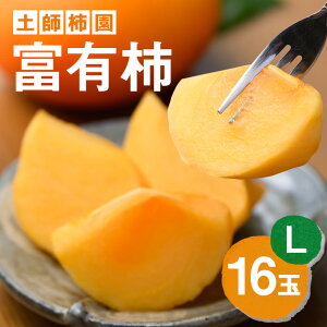 yӂ邳Ɣ[Łz y2026Ns\zxL` L16 ` JL  t[c ʕ  Yn 錧 Ήs A43-001