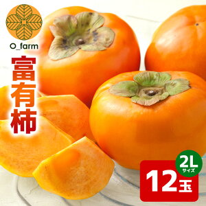 yӂ邳Ɣ[Łz y2026Ns\zxL` 2L 12ʁi1ij ` JL  t[c ʕ  Yn 錧 Ήs A44-002