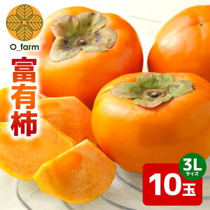 yӂ邳Ɣ[Łz y2026Ns\zxL` 3L 10ʁi1ij ` JL  t[c ʕ  Yn 錧 Ήs A44-003