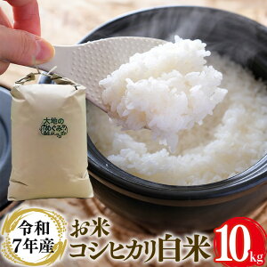 yӂ邳Ɣ[Łzyߘa7NYz  ( RVqJ)  10kg     uh Ђ 10L Y Pꌴ R    錧Y  Y Yn _ƒ