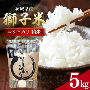 yӂ邳Ɣ[Łz yߘa7NYzq RVqJ  5kg ct@[ ReXgܕ     Ђ 5L Y Pꌴ R   錧Y  Y Yn