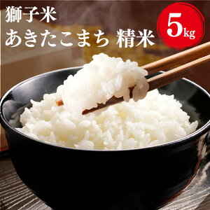 yӂ邳Ɣ[Łzyߘa7NYzq ܂ 5kg     錧 Ήs B02-061