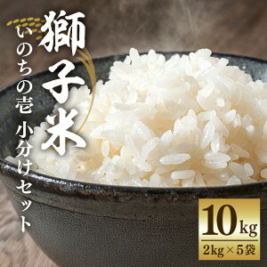 yӂ邳Ɣ[Łz q ̂̈  Zbg 10kg i2kg×5܁j      ͂ Yn Y 錧 Ήs B02-087