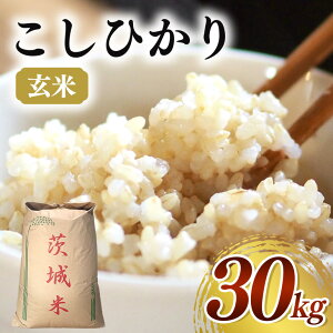 yӂ邳Ɣ[Łz yߘa7NYzVăRVqJ 30kg     ͂ Y Yn 錧 Ήs B08-002