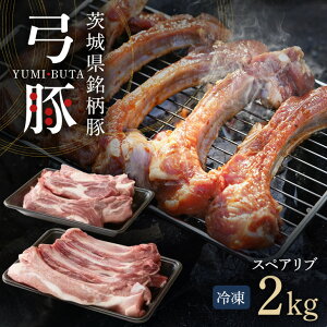 yӂ邳Ɣ[Łz | XyAu Zbg 2kg ؓ a   t Y i  Yn wV[ ƒp Mtg Ⓚ (C01-007)