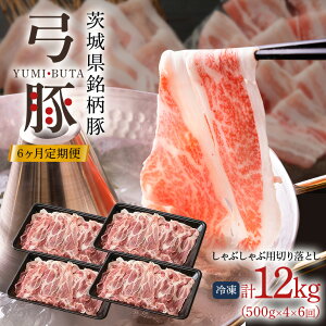 yӂ邳Ɣ[Łz | 6yցz Ԃԗp ؂藎Ƃ ؓ ^pbN 500g×4 Ⓚ  Y uh   Y Yؓ XgbNp ƒp p Ⓚؓ 