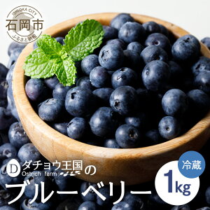 yӂ邳Ɣ[Łzy 2026N s\ z tbV u[x[ 1kg _`EY ( 500g 2pbN )  i C VN n ① _ ͔|Ԓ sgp 1L ʕ t[c Y Yn