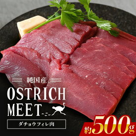 【ふるさと納税】 ダチョウ フィレ肉 約500g ダチョウ肉 赤身肉 ヘルシー 低脂肪 低カロリー 高たんぱく質 鉄分 豊富 真空パック 上質 抗生物質不使用 成長ホルモン不使用 国産 ダイエット 健康志向 グルメ ギフト 産地直送 (C05-004)