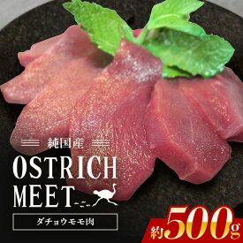 【ふるさと納税】 ダチョウ モモ肉 約500g ダチョウ肉 赤身肉 ヘルシー 低脂肪 低カロリー 高たんぱく質 鉄分 豊富 真空パック 上質 抗生物質不使用 成長ホルモン不使用 国産 ダイエット 健康志向 グルメ ギフト 産地直送 (C05-005)