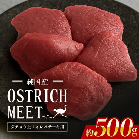 【ふるさと納税】 ダチョウ 上フィレ肉 ステーキ用 500g ダチョウ肉 赤身肉 ヘルシー 低脂肪 低カロリー 高たんぱく質 鉄分 豊富 真空パック 上質 抗生物質不使用 成長ホルモン不使用 国産 ダイエット 健康志向 グルメ ギフト 産地直送 (C05-006)