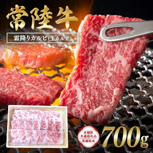 yӂ邳Ɣ[Łz헤@~JriJrj700g y錧ʕԗi / 錧Yz C09-009