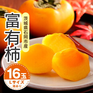 yӂ邳Ɣ[Łzy2026Ns\zxL` L 16ʁi؊`j ` Â`  xLJL Â ʕ t[c  JL xL H { Ê` x p i Mtg 蕨 i u