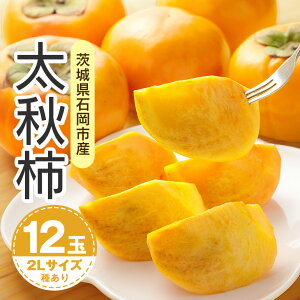 yӂ邳Ɣ[Łz y 2026N s\ z H` 2L 12ʁi؊`j ` Â` H  JL Â ʕ t[c  JL H H { Ê` x p i Mtg 蕨 