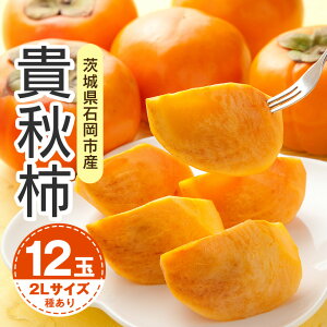 yӂ邳Ɣ[Łzy 2026N s\ z MH` 2L 12 i؊`j ` Â` x MH  JL Â ʕ t[c  JL MH H { Ê` p i Mtg 