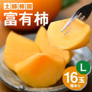 yӂ邳Ɣ[Łz y2026Ns\zxL` L16 ` JL  t[c ʕ  Yn 錧 Ήs A43-001