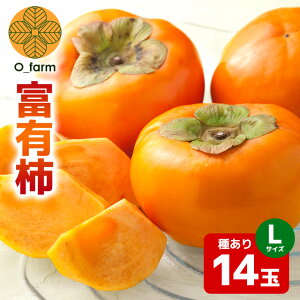 yӂ邳Ɣ[Łz y2026Ns\zxL` L14ʁi1ij ` JL  t[c ʕ  Yn 錧 Ήs A44-001