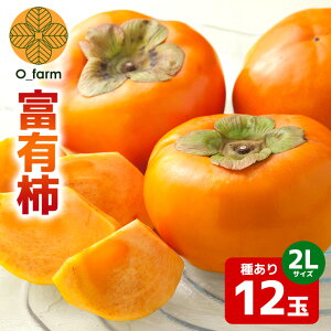 yӂ邳Ɣ[Łz y2026Ns\zxL` 2L 12ʁi1ij ` JL  t[c ʕ  Yn 錧 Ήs A44-002