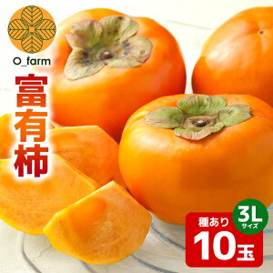 yӂ邳Ɣ[Łz y2026Ns\zxL` 3L 10ʁi1ij ` JL  t[c ʕ  Yn 錧 Ήs A44-003