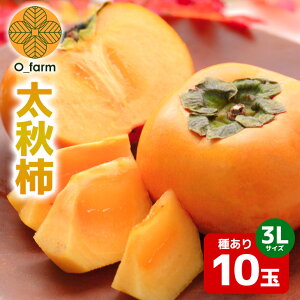 yӂ邳Ɣ[Łz y2026Ns\zH` 3L 10ʁi1ij ` JL  t[c ʕ  Yn 錧 Ήs A44-004