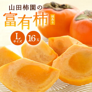 yӂ邳Ɣ[Łz y2026Ns\zxL` L 16 ` JL  t[c ʕ  Yn 錧 Ήs A45-001