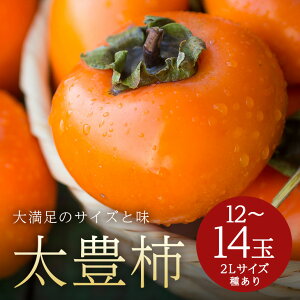 yӂ邳Ɣ[Łzy 2026N s\ z L` 2L 12`14 i؊`j ` Â` x L  JL Â ʕ t[c   H { Ê` p i Mtg 蕨 i