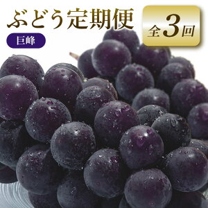 yӂ邳Ɣ[Łz y2026Ns\zԂǂ  3  uhE t[c ʕ  Yn 錧 Ήs A04-010