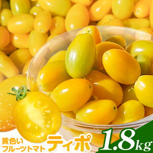 yӂ邳Ɣ[ŁzpbƐH̉Ft[cg}g eB| Iׂe 1.8kg (1) Jtg}gMIX Fg}g  錧Y sY Y ς _Ȃ  H T