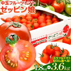 【ふるさと納税】中玉フルーツトマト ゼッピン娘 選べる内容量 1.8kg ×1箱 1.8kg ×2箱 計3.6kg カラフルトマトMIX 希少な品種 華おとめ 甘い 野菜 結城市産 ゼッピン娘 華おとめ 中玉品種 薄皮 サラダ 料理《10月中旬～5月末頃出荷》【配送不可地域あり】