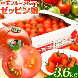 yӂ邳Ɣ[Łzʃt[cg}g [bs Iׂe 1.8kg ×1 1.8kg ×2 v3.6kg Jtg}gMIX 󏭂ȕi ؂Ƃ Â  sY [bs ؂Ƃ ʕi  T