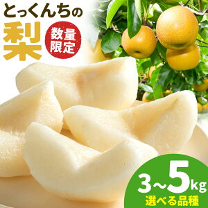 �y�ӂ邳�Ɣ[�Łz�y2026�N��s�\��z�Ƃ����񂿂̗� �I�ׂ� �i�� �K�� �L�� �����Â� �ɂ����� ��3kg ��5kg ��ؔ_���s8����{-10�����{���o��(�i��ɂ��)�t��錧 ����s ���ʌ��� �ʕ� �t��