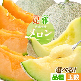 【ふるさと納税】【令和7年先行予約】 茨城県結城市産 メロン 選べる内容量 食べ比べ セット 妃 雅 2玉 1玉 稲葉ファーム《9月下旬-10月中旬頃出荷予定》茨城県 結城市 送料無料 フルーツ 果物 高級メロン お取り寄せ 旬 産地直送 贈り物 お取り寄せフルーツ