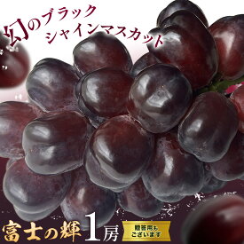 【ふるさと納税】ぶどう 富士の輝 1房 贈答用もあり 茨城県 結城市 《8月下旬-9月下旬頃出荷》 會澤ぶどう・キウイフルーツ園 葡萄 ブドウ 大粒 種なし ブラック シャインマスカット 果物 フルーツ ギフト 国産 季節限定 【配送不可地域あり】(離島)