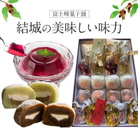 【ふるさと納税】和菓子 結城の美味しい味力（みりょく）満載 富士峰菓子舗《90日以内に出荷予定(土日祝除く)》茨城県 結城市 和菓子 スイーツ 詰め合わせ 桑の里 寒天ゼリー 白餡 すりごま入り餡 ホワイトチョコレート 大福 コーヒー 抹茶 シャインマスカット